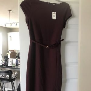 NWT Express dress